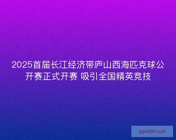 2025首届长江经济带庐山西海匹克球公开赛正式开赛 吸引全国精英竞技