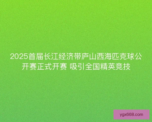 2025首届长江经济带庐山西海匹克球公开赛正式开赛 吸引全国精英竞技
